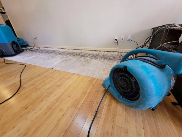 Reliable Burst Pipe Water Damage contractor in Brooklyn, NY by Hirex Water Damage