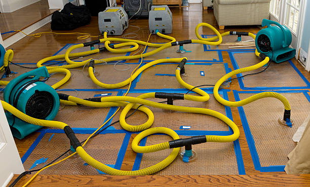 Professional Burst Pipe Water Damage technician working in Brooklyn, NY